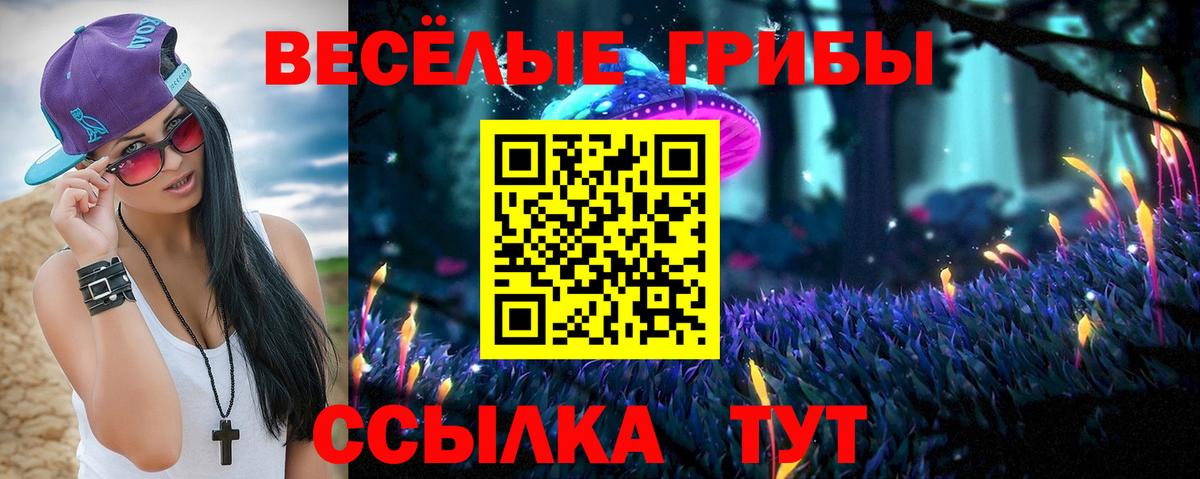 Галлюциногенные грибы GOLDEN TEACHER  Псилоцибиновые грибы Psilocybe  Каменск-Шахтинский  купить   Вход с VPN 