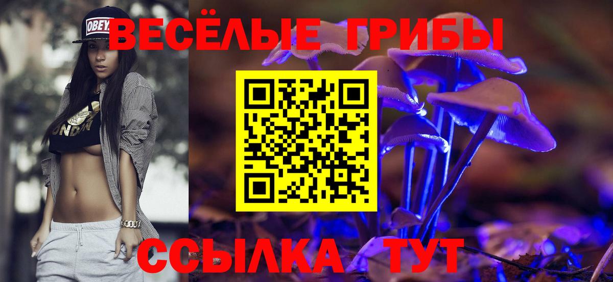 Галлюциногенные грибы MAGIC MUSHROOMS Каменск-Шахтинский